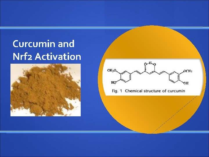 Curcumin and Nrf 2 Activation 