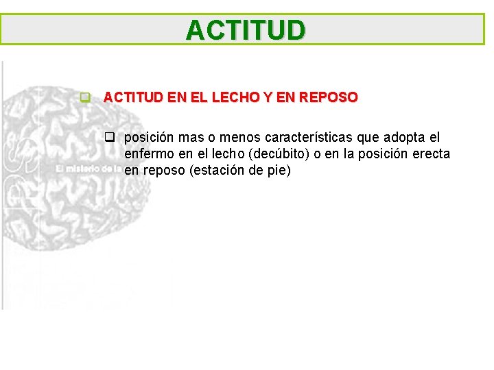 ACTITUD q ACTITUD EN EL LECHO Y EN REPOSO q posición mas o menos