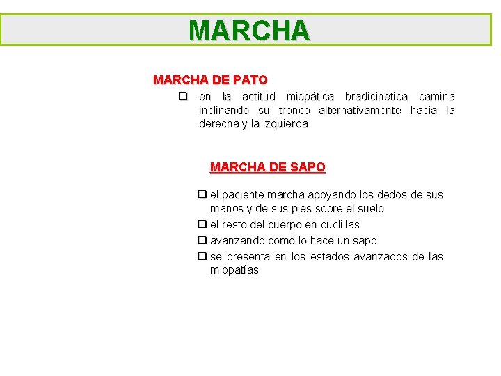 MARCHA DE PATO q en la actitud miopática bradicinética camina inclinando su tronco alternativamente