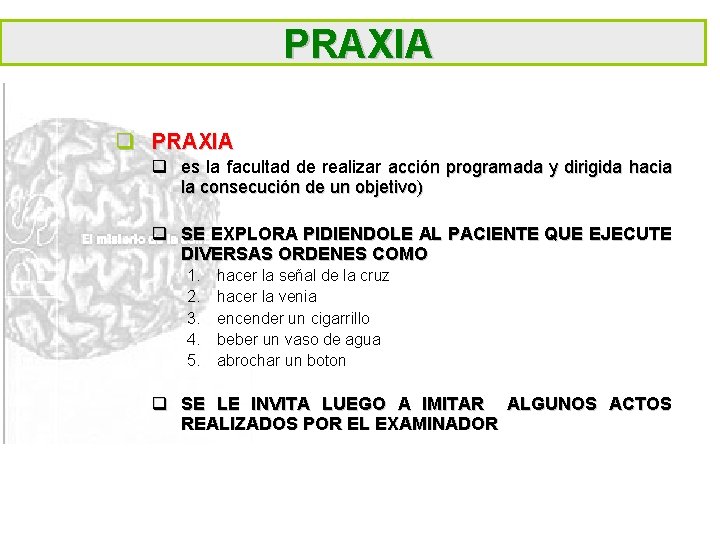 PRAXIA q es la facultad de realizar acción programada y dirigida hacia la consecución