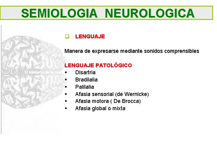 SEMIOLOGIA NEUROLOGICA q LENGUAJE Manera de expresarse mediante sonidos comprensibles LENGUAJE PATOLÓGICO § Disartria