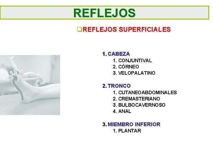 REFLEJOS q. REFLEJOS SUPERFICIALES 1. CABEZA 1. CONJUNTIVAL 2. CÓRNEO 3. VELOPALATINO 2. TRONCO