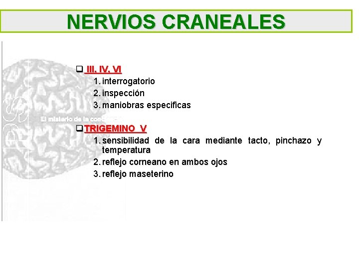 NERVIOS CRANEALES q III, IV, VI 1. interrogatorio 2. inspección 3. maniobras especificas q