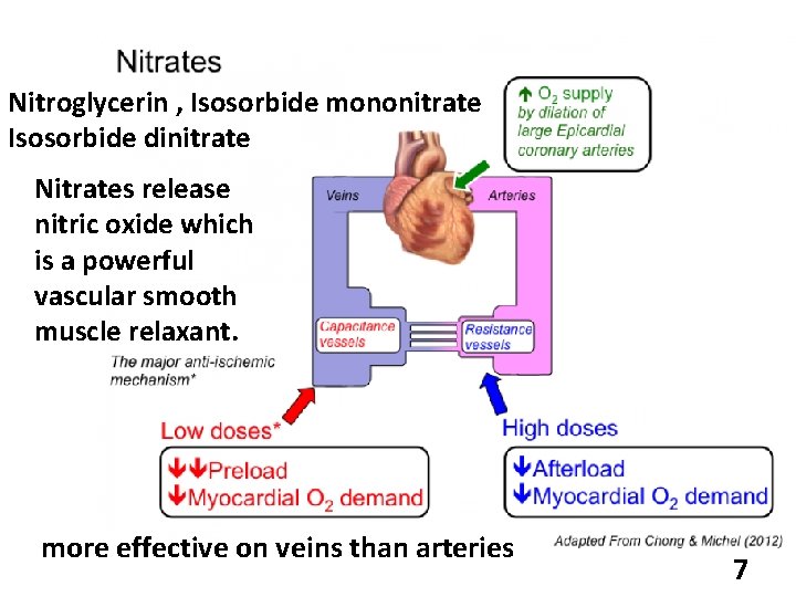 Nitroglycerin , Isosorbide mononitrate Isosorbide dinitrate Nitrates release nitric oxide which is a powerful