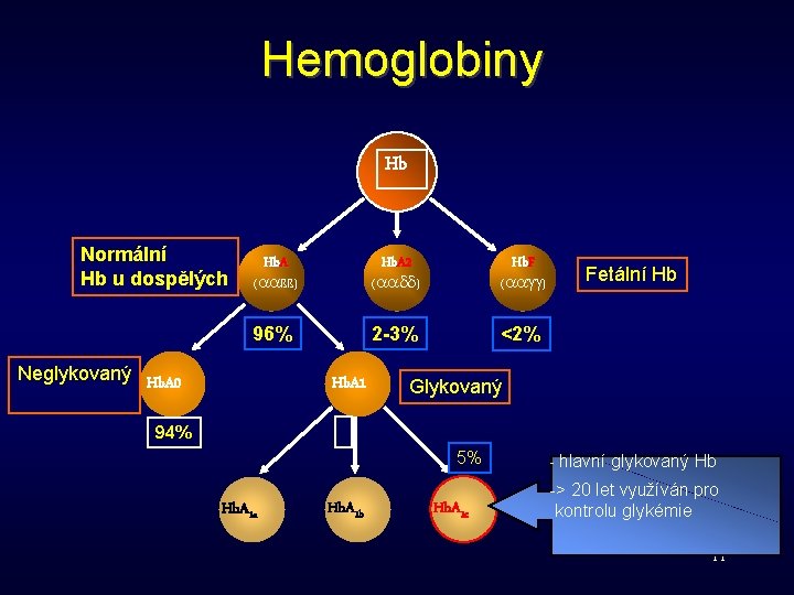 Hemoglobiny Hb Normální Hb u dospělých Hb. A ( ßß) Hb. A 2 (