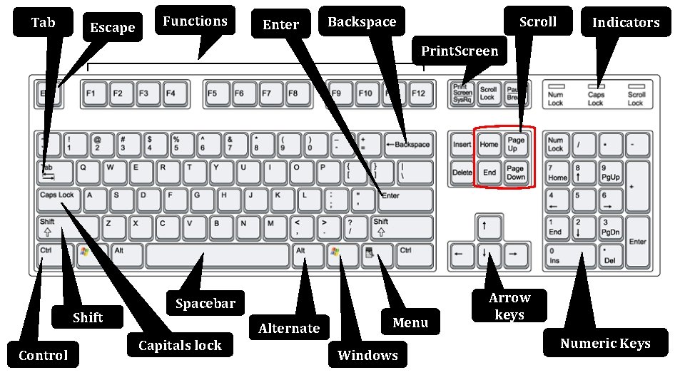 Tab Escape Functions Enter Scroll Backspace Indicators Print. Screen Shift Control Spacebar Alternate Capitals