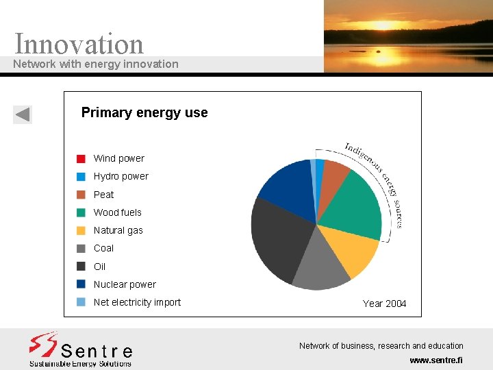 Innovation Network with energy innovation Primary energy use Wind power Hydro power Peat Wood