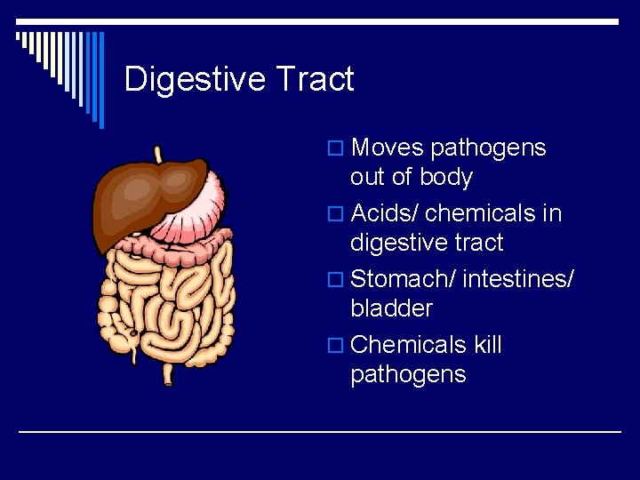 Digestive Tract o Moves pathogens out of body o Acids/ chemicals in digestive tract