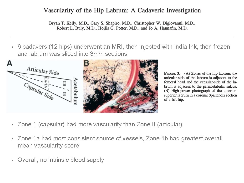  • 6 cadavers (12 hips) underwent an MRI, then injected with India Ink,