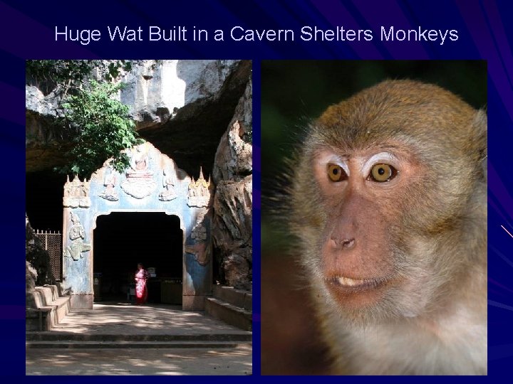Huge Wat Built in a Cavern Shelters Monkeys 
