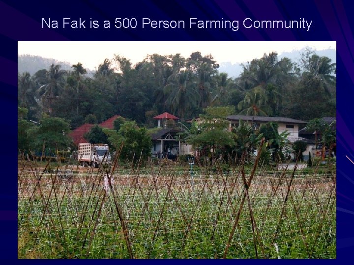 Na Fak is a 500 Person Farming Community 