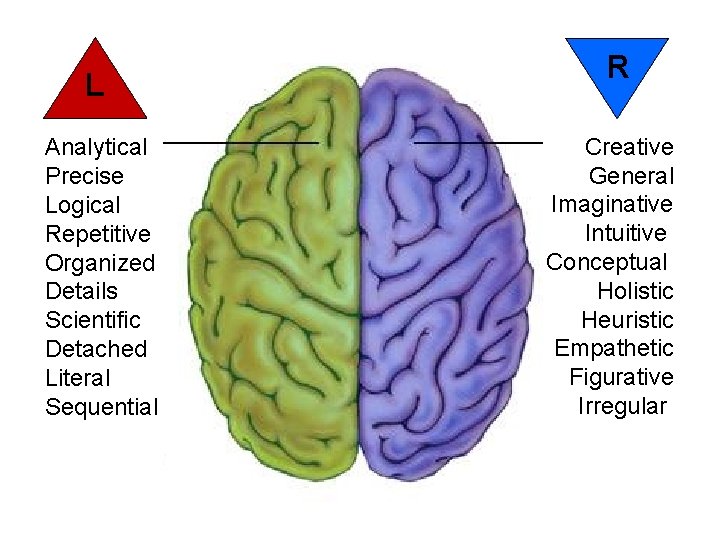 L Analytical Precise Logical Repetitive Organized Details Scientific Detached Literal Sequential R Creative General