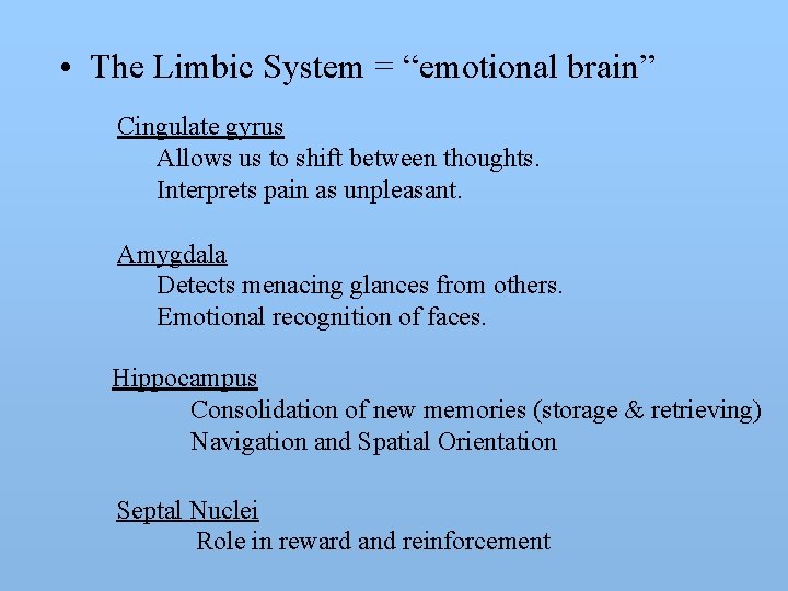  • The Limbic System = “emotional brain” Cingulate gyrus Allows us to shift