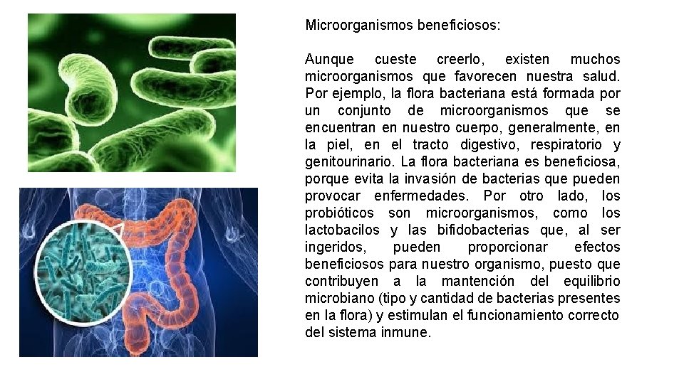 Microorganismos beneficiosos: Aunque cueste creerlo, existen muchos microorganismos que favorecen nuestra salud. Por ejemplo,