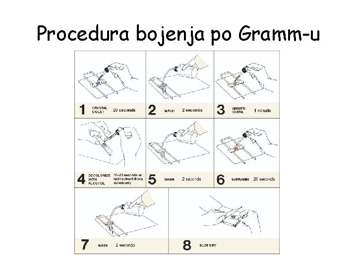 Procedura bojenja po Gramm-u 