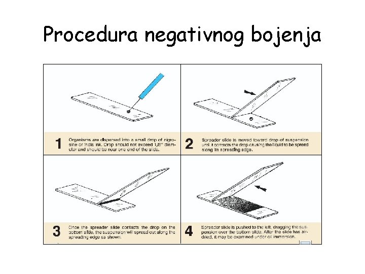 Procedura negativnog bojenja 