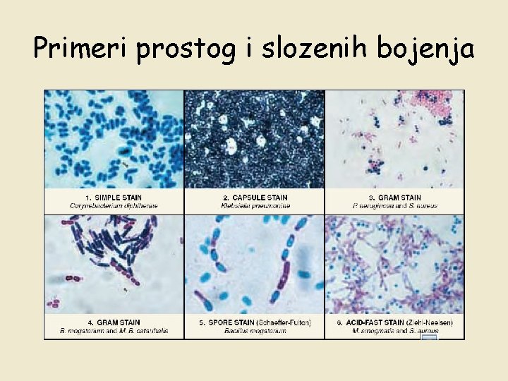 Primeri prostog i slozenih bojenja 