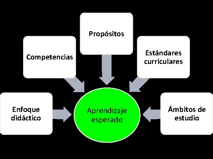 Propósitos Estándares curriculares Competencias Enfoque didáctico Aprendizaje esperado Ámbitos de estudio 