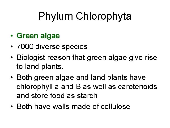 Phylum Chlorophyta • Green algae • 7000 diverse species • Biologist reason that green