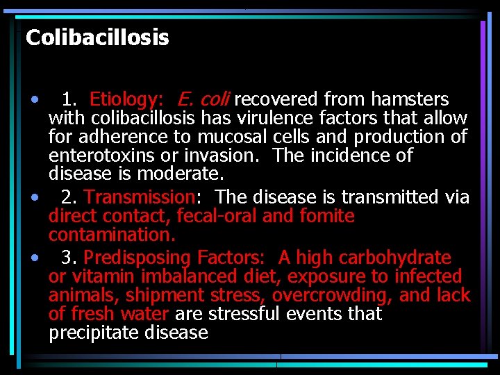 Colibacillosis • 1. Etiology: E. coli recovered from hamsters with colibacillosis has virulence factors