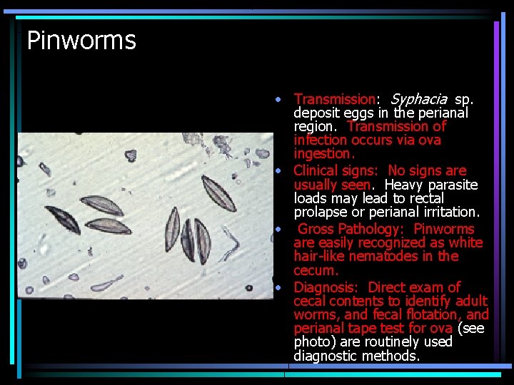 Pinworms • Transmission: Syphacia sp. deposit eggs in the perianal region. Transmission of infection Pinworms • Transmission: Syphacia sp. deposit eggs in the perianal region. Transmission of infection