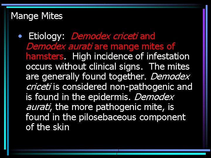 Mange Mites • Etiology: Demodex criceti and Demodex aurati are mange mites of hamsters. Mange Mites • Etiology: Demodex criceti and Demodex aurati are mange mites of hamsters.
