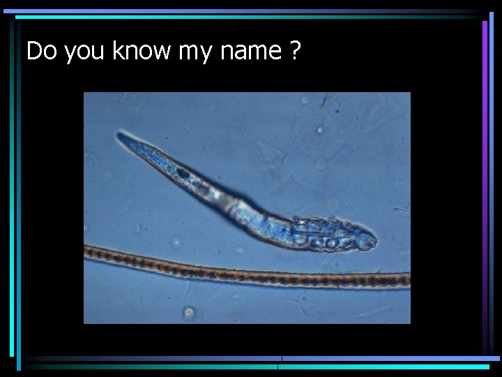 Do you know my name ? Do you know my name ?