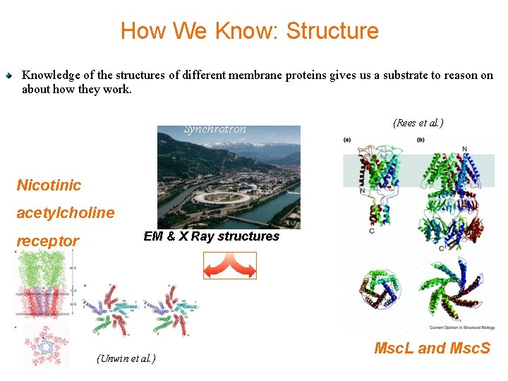 How We Know: Structure Knowledge of the structures of different membrane proteins gives us