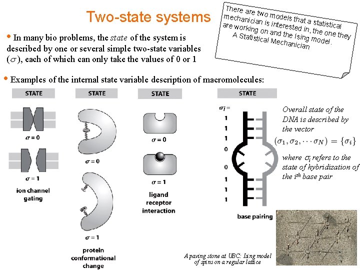 Two-state systems • In many bio problems, the state of the system is described