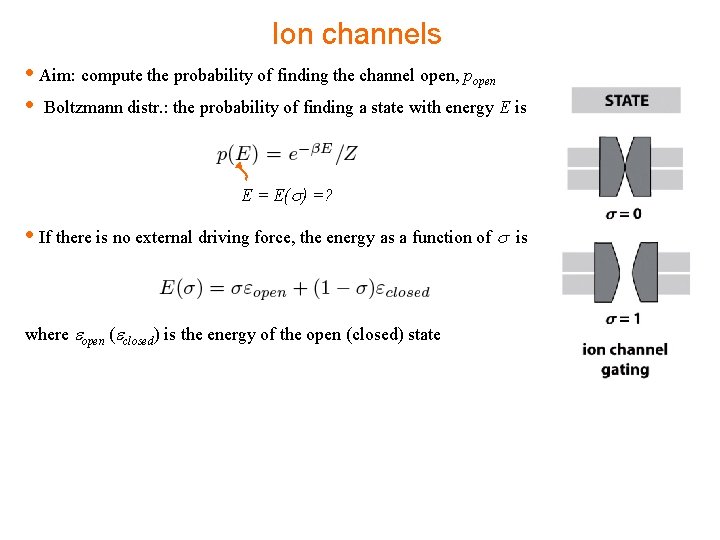 Ion channels • Aim: compute the probability of finding the channel open, popen •