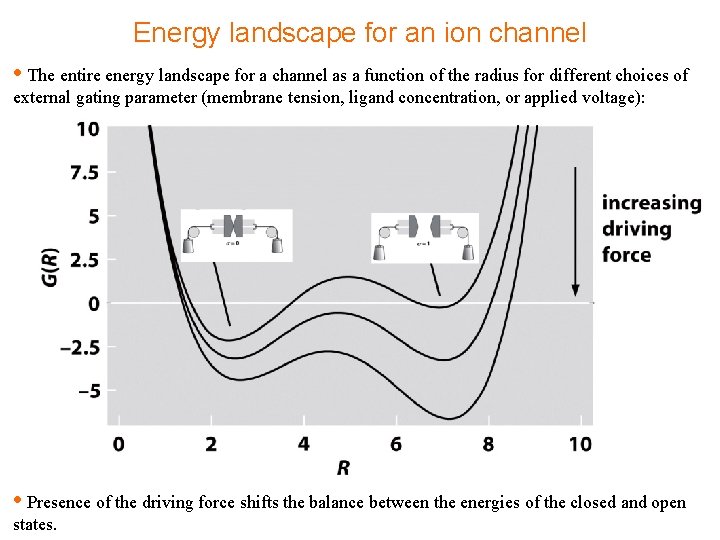 Energy landscape for an ion channel • The entire energy landscape for a channel