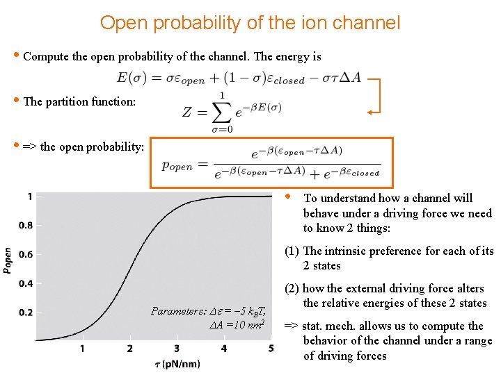Open probability of the ion channel • Compute the open probability of the channel.