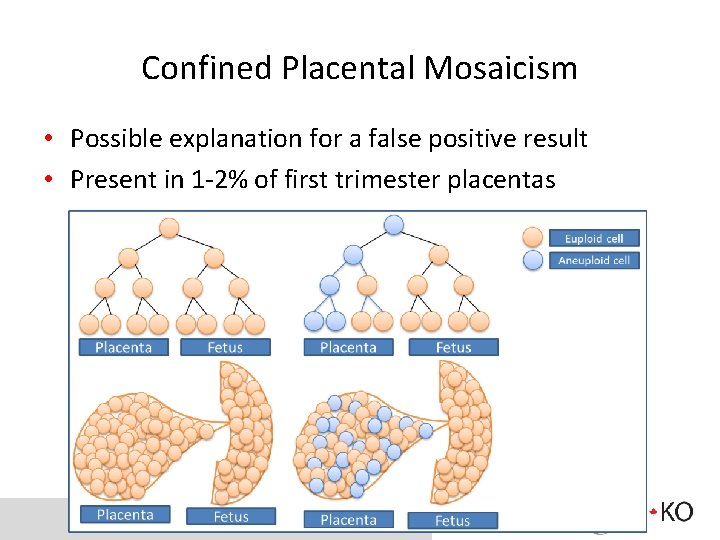 Confined Placental Mosaicism • Possible explanation for a false positive result • Present in
