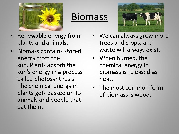 Biomass • Renewable energy from plants and animals. • Biomass contains stored energy from