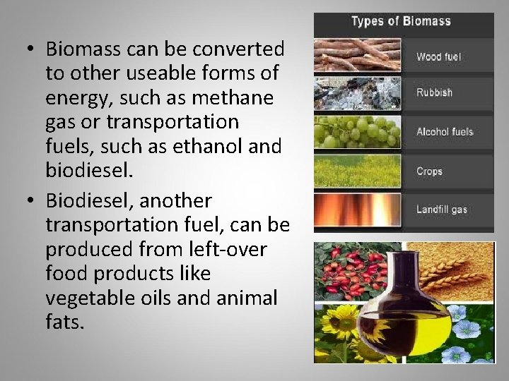  • Biomass can be converted to other useable forms of energy, such as