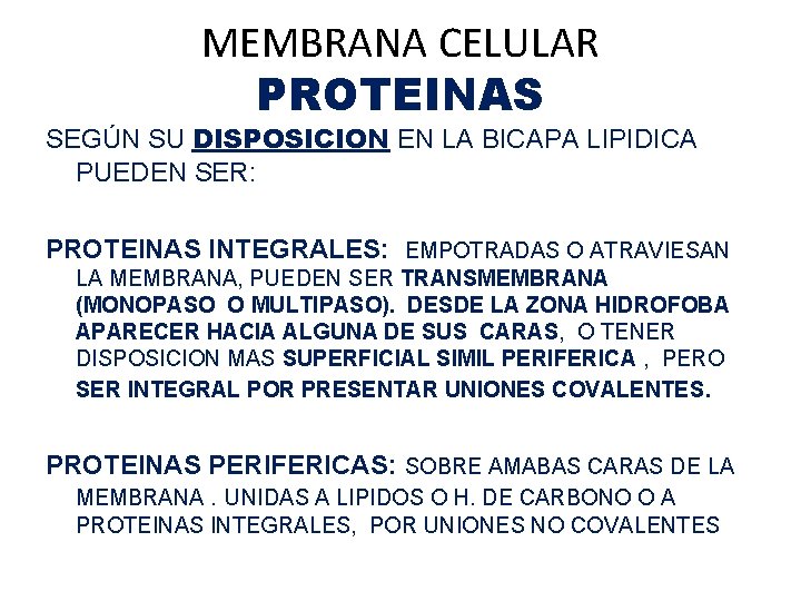 MEMBRANA CELULAR PROTEINAS SEGÚN SU DISPOSICION EN LA BICAPA LIPIDICA PUEDEN SER: PROTEINAS INTEGRALES: