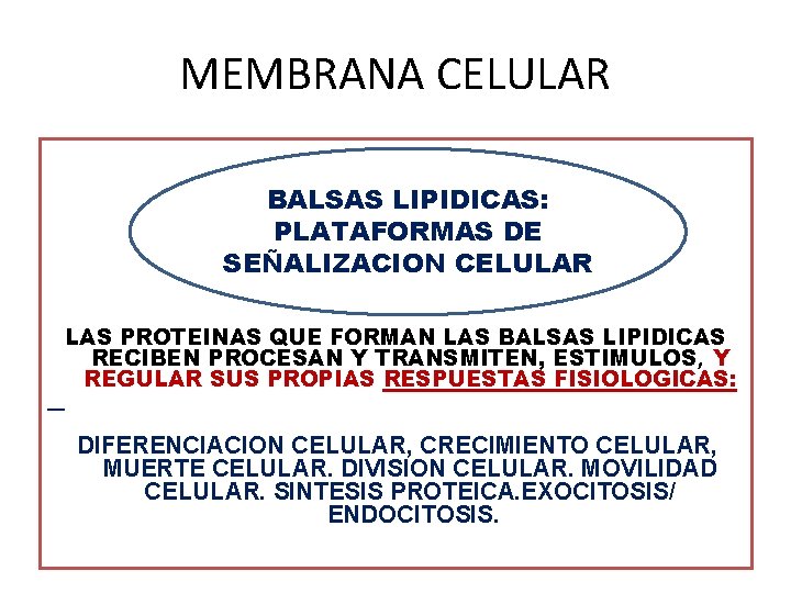 MEMBRANA CELULAR BALSAS LIPIDICAS: PLATAFORMAS DE SEÑALIZACION CELULAR LAS PROTEINAS QUE FORMAN LAS BALSAS