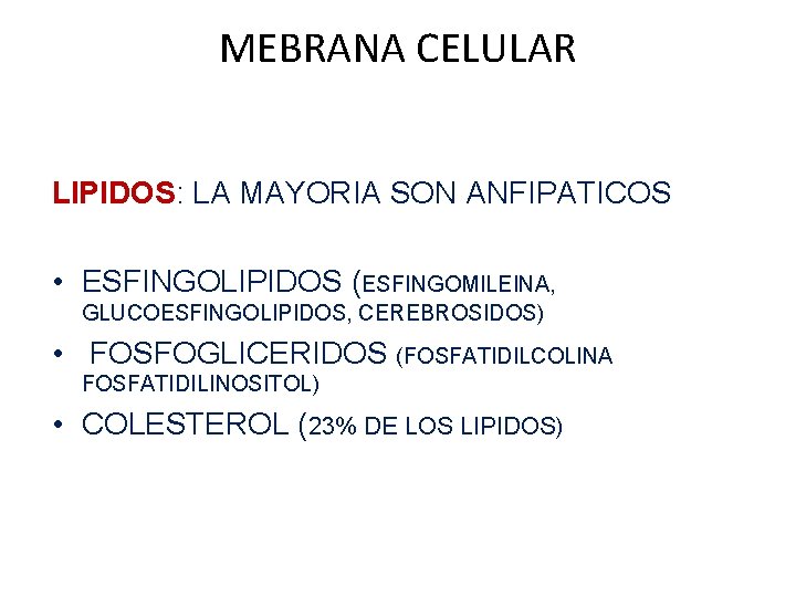 MEBRANA CELULAR LIPIDOS: LA MAYORIA SON ANFIPATICOS • ESFINGOLIPIDOS (ESFINGOMILEINA, GLUCOESFINGOLIPIDOS, CEREBROSIDOS) • FOSFOGLICERIDOS