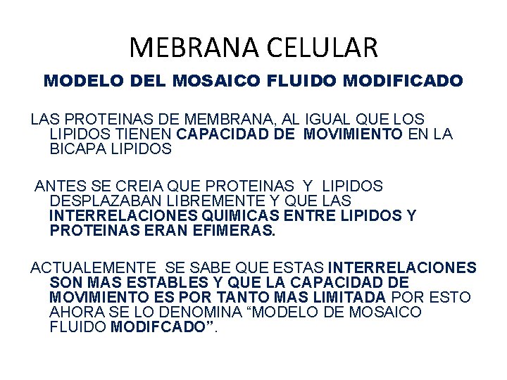 MEBRANA CELULAR MODELO DEL MOSAICO FLUIDO MODIFICADO LAS PROTEINAS DE MEMBRANA, AL IGUAL QUE