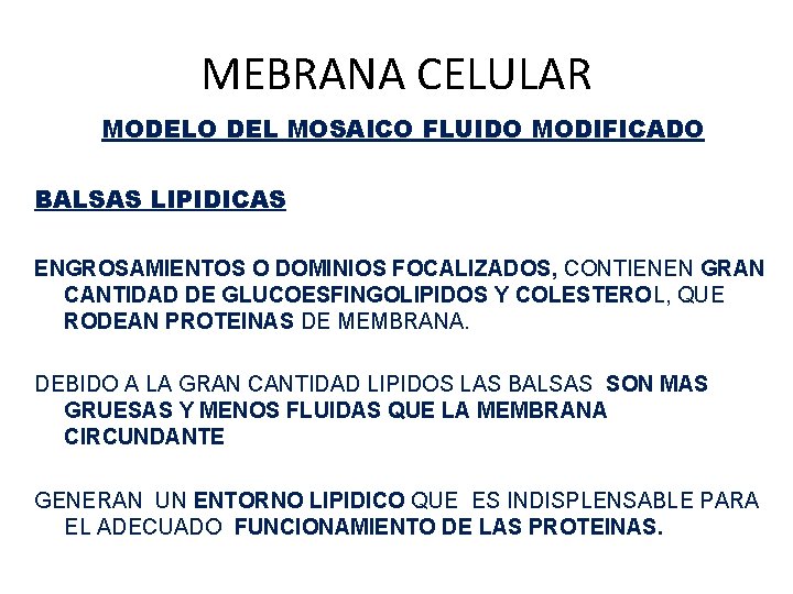 MEBRANA CELULAR MODELO DEL MOSAICO FLUIDO MODIFICADO BALSAS LIPIDICAS ENGROSAMIENTOS O DOMINIOS FOCALIZADOS, CONTIENEN