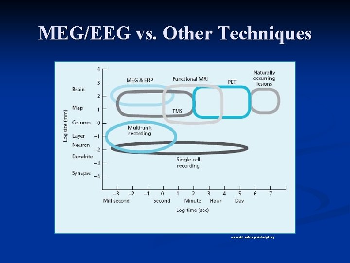 MEG/EEG vs. Other Techniques rationalist. eu/Images/introfig 4. jpg 