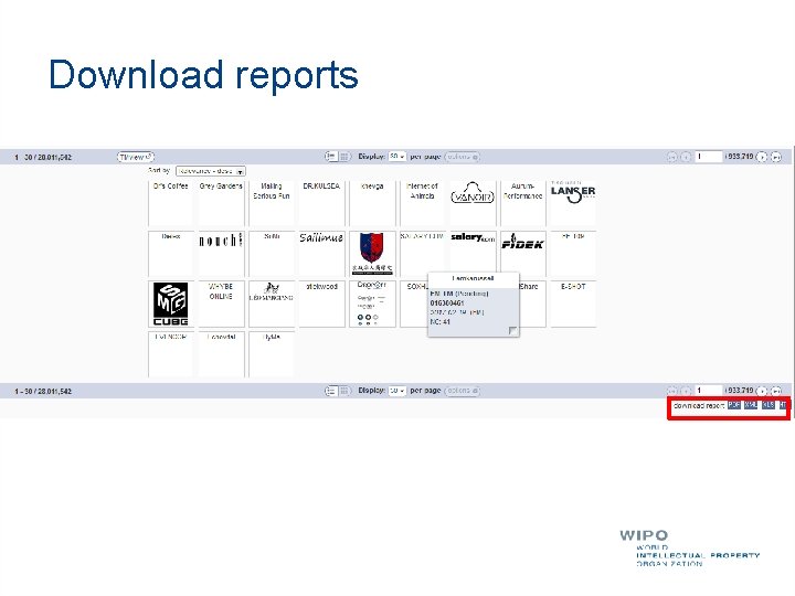Download reports 