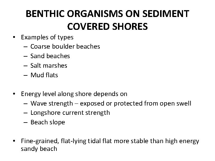 BENTHIC ORGANISMS ON SEDIMENT COVERED SHORES • Examples of types – Coarse boulder beaches