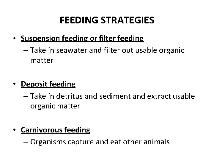 FEEDING STRATEGIES • Suspension feeding or filter feeding – Take in seawater and filter