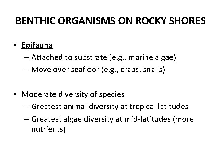 BENTHIC ORGANISMS ON ROCKY SHORES • Epifauna – Attached to substrate (e. g. ,
