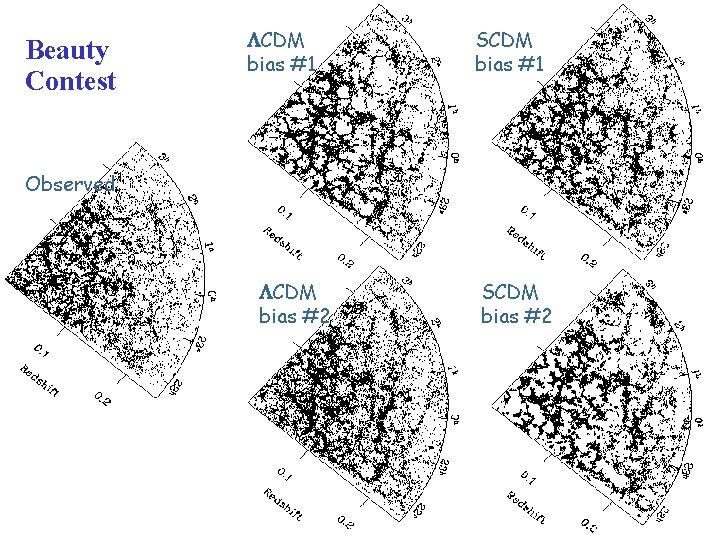Beauty Contest CDM bias #1 SCDM bias #1 Observed CDM bias #2 SCDM bias