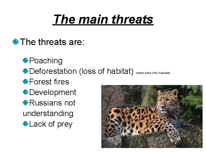 The main threats The threats are: Poaching Deforestation (loss of habitat) Forest fires Development