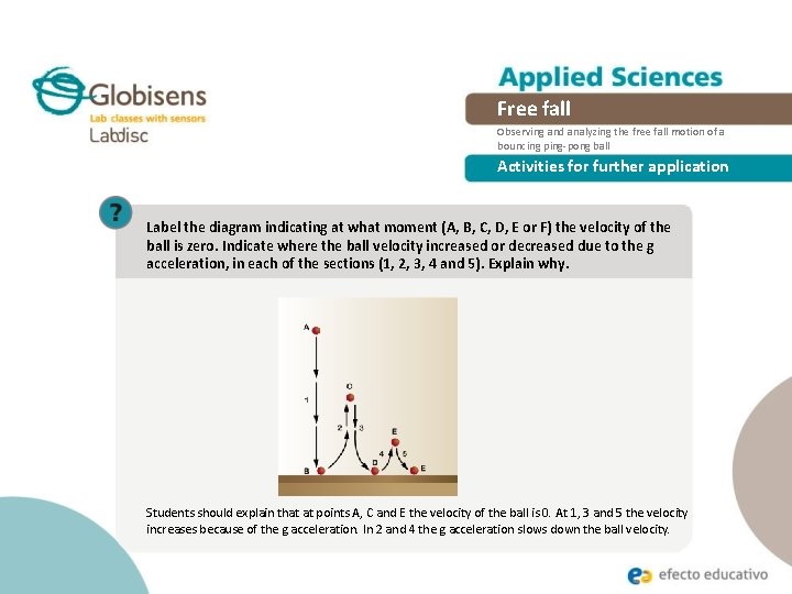 Free fall Observing and analyzing the free fall motion of a bouncing ping-pong ball
