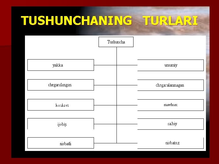 TUSHUNCHANING TURLARI 