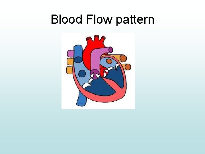 Blood Flow pattern 